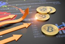 Crypto vs Fiat Betting: Pros and Cons for Today’s Bettors