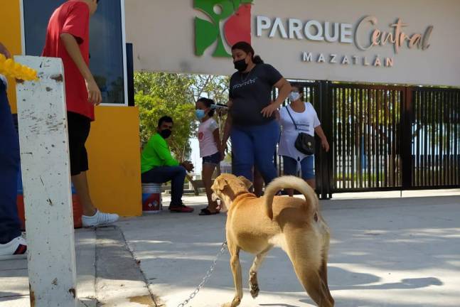 imagen-parque-central-mazatlan-1_1-7117603_20240525135341