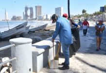 Mazatlán Carnival Generates 2,438 Tons of Garbage