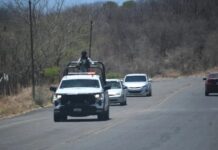 The Shadow of Narco-Politics: Sinaloa and Sonora Under the Grip of Organized Crime