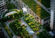 Amaitlan’s Failure and How to Actually Plan a Sustainable Model City