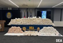 DEA Arrests 670 CJNG Members in Massive Global Operation