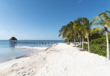 Discover the Best Things to Do in Cancun for Nature Lovers