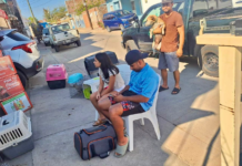 Mazatlán Ecology assists a resident of Quinta Chapalita and sterilizes 29 pets