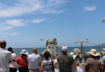 Mazatlán will receive more than 7,000 cruise ship passengers this week