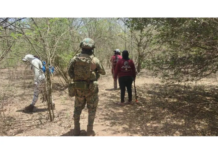 Bodies found in southern Mazatlán could be those of women abducted from a shopping center: Deputy Prosecutor