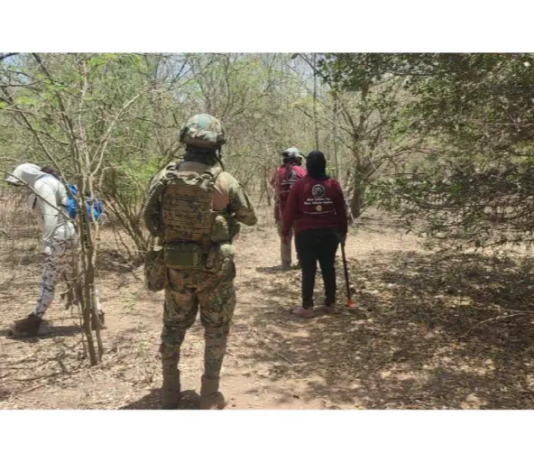 Bodies found in southern Mazatlán could be those of women abducted from a shopping center: Deputy Prosecutor