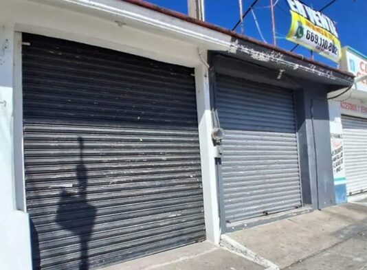 Ongoing insecurity and a sharp decline in tourism are forcing widespread business closures in Mazatlan