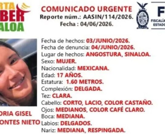 Amber Alert Activated for Missing 17-Year-Old in Angostura, Sinaloa