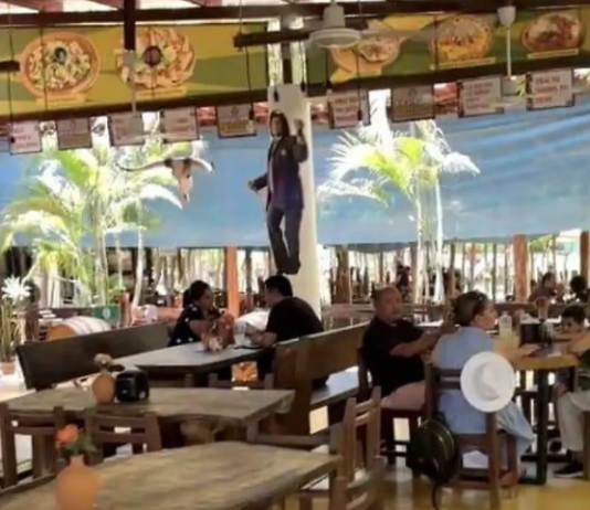 Insecurity hits Mazatlán’s rural gastronomic corridor hard; sales fall by up to 60%.