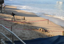 Missing Triathlete Found Dead in Mazatlán; Swell Carried Body to Shore