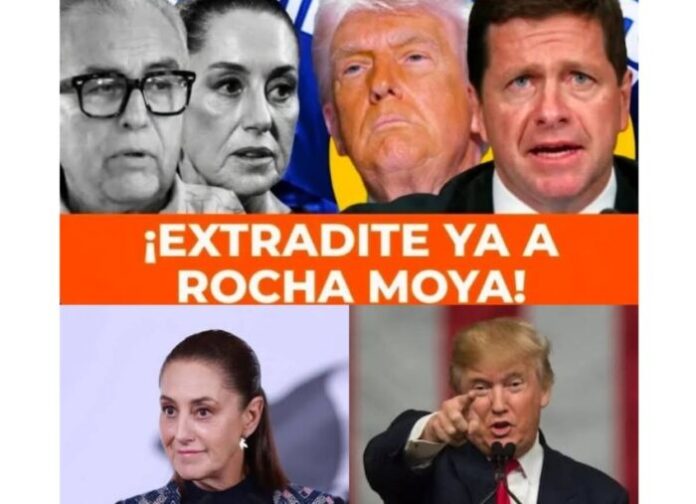 rocha moya