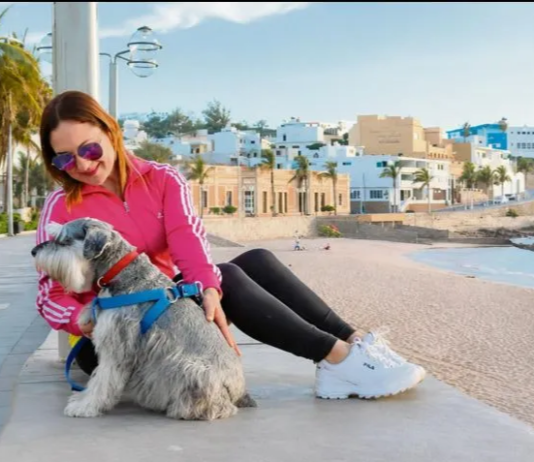 Mazatlán pet-friendly: beaches, hotels and restaurants to travel with your dog this summer