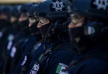 Police Officers and Journalists Face Escalating Violence in Sinaloa