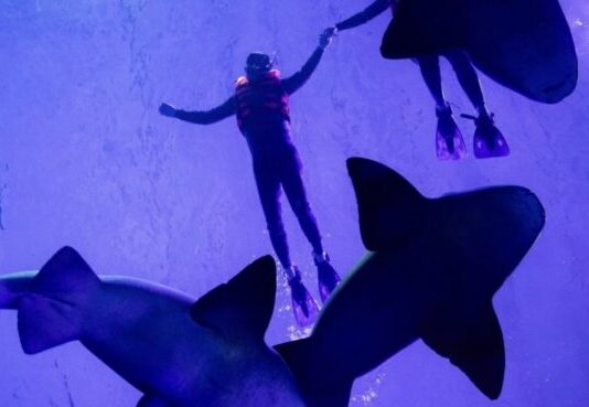 Gran Acuario Mazatlán: Architecture, Conservation, and the Ecosystems of the Sea of Cortez