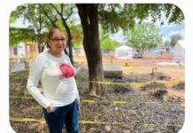 Sinaloa Prosecutors Investigate Armed Attack on Searching Mother as Attempted Femicide