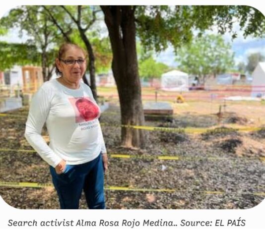 Sinaloa Prosecutors Investigate Armed Attack on Searching Mother as Attempted Femicide