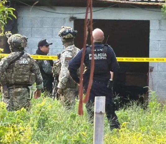 Sinaloa: almost 50 murders in just 10 days of interim government; They kill the trustee and his brother